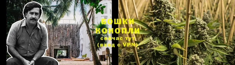 Канабис White Widow  даркнет официальный сайт  Семилуки 